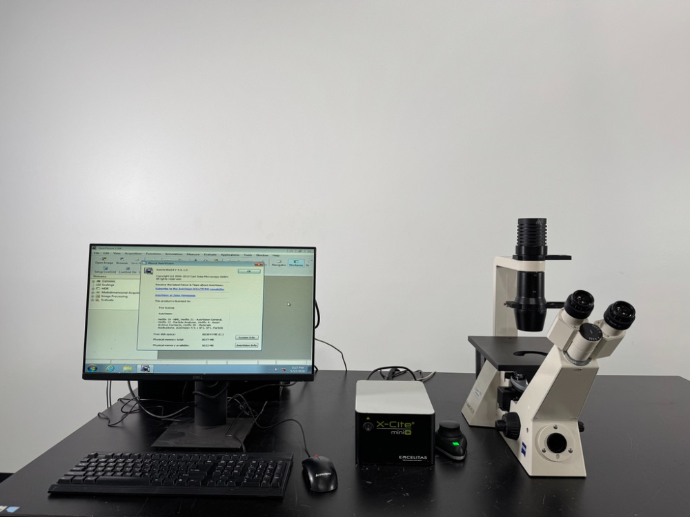 Image of Carl Zeiss Axiovert 40 Inverted Microscope